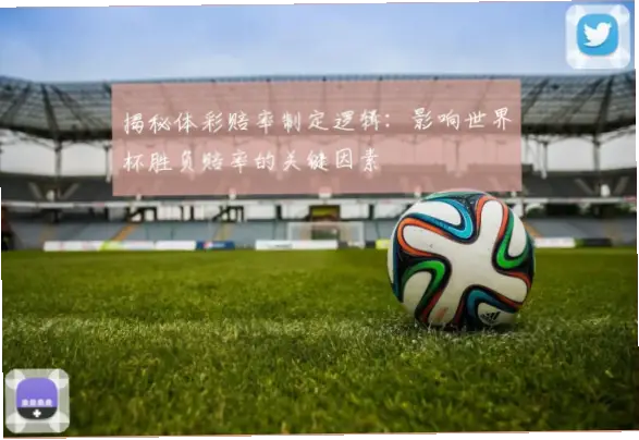 世界杯体彩赔率高低对彩民的影响分析
